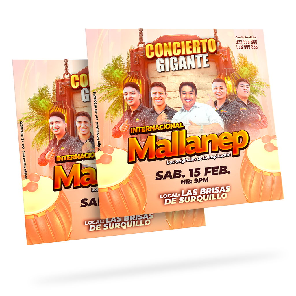 Flyer, post para redes sociales Modelo Mallanep - Design Market Perú
